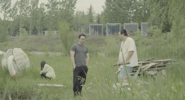 从个体困境到代际情绪：一部作品的前瞻性回响